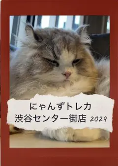 バラ売り可】にゃんずトレカ東久留米店 2025 - メルカリ