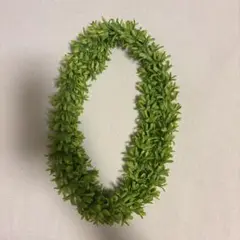 フラダンス　レイ