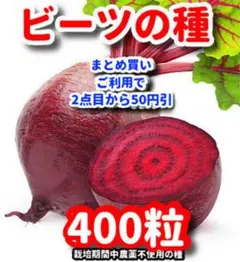 tree様 リクエスト 2点 まとめ商品