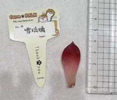 ひとちゃん様 リクエスト 4点 まとめ商品