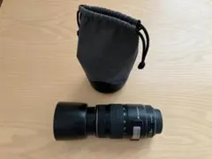 2026年最新】Canon LENS EF 75-300mm 1:4-5.6の人気アイテム - メルカリ
