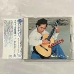 Mario Orozco マリオ・オロスコ / raices