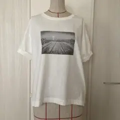 AMERICAN HOLIC フォトプリントTシャツ 白 Fサイズ 新品未使用