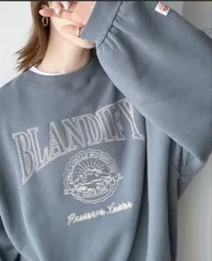 Java 2way刺繍 裏起毛 オーバーサイズトレーナー スウェット L ブルー