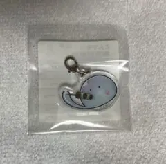 とんでもスキルで異世界放浪メシ スイ 缶バッジ チャーム 5点 セット