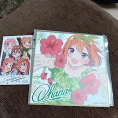 映画  五等分の花嫁   入場者特典③  四葉