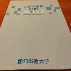 Item thumbnail for item 4e04f8b3-625b-42bb-8984-82a67ab09293