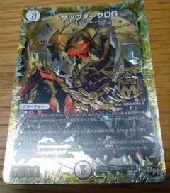 サッヴァークdg