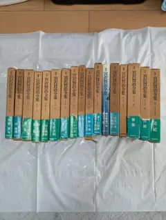 Item thumbnail for item 6ea24c71-ff16-4224-8f67-d2f7177b57ed