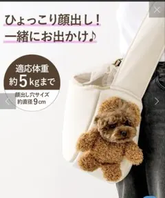 モンタ様購入予定　スリーコインズ　顔出しベアバッグ