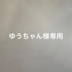 ゆうちゃん様専用　再発送用