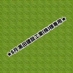 6月注文受付 慎 sama - メルカリ