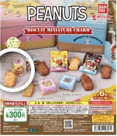 PEANUTS　ビスケットミニチュアチャーム　スヌーピー
