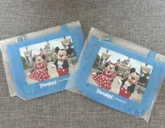 海外ディズニー パスポートケース 2個セット