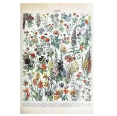 ファブリックポスター 植物図鑑 花 インテリア アンティーク 布 ポスター