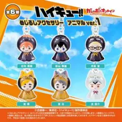 ハイキュー!! めじるしチャーム アニマルver.1 ガチャ コンプリート