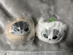 モフサンド 飲茶にゃんおかおぬいぐるみ