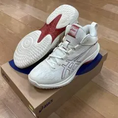 GELHOOP V17 750 27.0cm