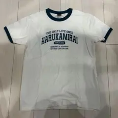 ハルカミライ　バンドTシャツ　harukamirai