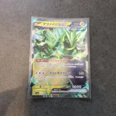 テツノイバラex