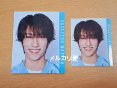 Myojo 　カード　通常版　ちっこい版　2024.10　少年忍者②