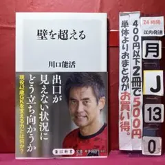 世界限定10枚 引退記念品 川口能活 サイン入り 刺繍アート 日本代表GK 世界限定10枚 引退記念品 川口能活 サイン入り 刺繍アート 日本代表