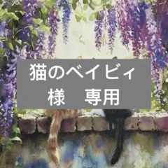 猫のベイビィ様　専用