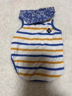 Item thumbnail for item 24618a75-a129-4f7c-9870-b0ed123338d3