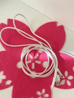 【美品】ライトニングケーブル