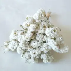 lemon様 リクエスト 2点 まとめ商品