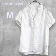 コムサイズム ブラウス シャツ ホワイト M 半袖 フリル ストライプ 上品
