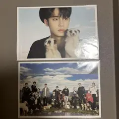 SEVENTEENミンギュ dfesta ポストカード