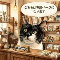 まき様　専用ページ 先割れロングスプーン１０本セット