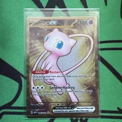 Item thumbnail for item 88ff4cba-5eaa-47a1-8416-a145a2ba67d1