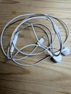 Apple iPhone イヤホン 純正