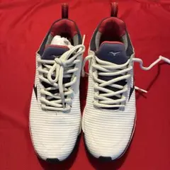 2026年最新】MIZUNO GOLF ゴルフ シューズ(女性用)の人気アイテム