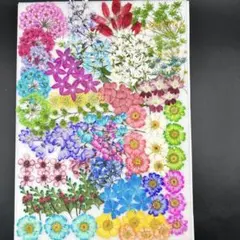 ゆゆゆ。様 リクエスト 2点 まとめ商品