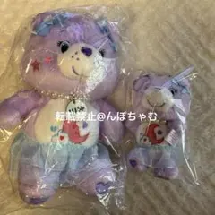 【海外限定】Wicked×CareBearsケアベア　グリンダエルファバ セット Care Bears x Wicked 2-Pack - Love-a-Lot Bear as Glinda & Good Luck