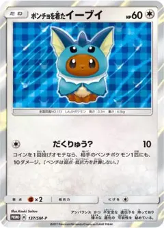 ポンチョを着たイーブイ ブラッキー PROMO プロモ ポケモンカード