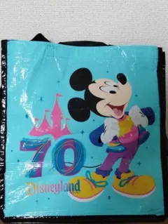 ミッキーマウス　生誕70周年記念アートフレーム　シリアルナンバー入り ミッキーマウス 生誕70周年記念アートフレーム シリアルナンバー