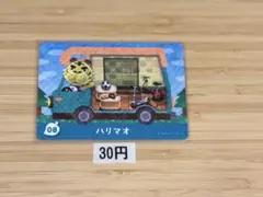 あつまれ 동물의 숲 amiiboカード ハリマオ