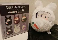 Item thumbnail for item 97484873-b6ac-460d-bc42-ae09d86b12d6