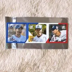 ヤクルトスワローズ swallows シークレットフォトチップス 石山泰稚