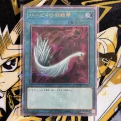 遊戯王　ハーピィの羽根箒　25th Amazon.co.jp: 遊戯王カード QCCP-JP127 ハーピィの羽根帚