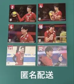 バレーボール男子日本代表ポストカード　6枚セット