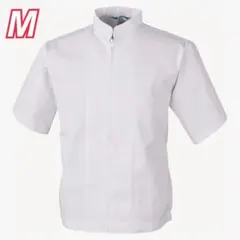 Item thumbnail for item a9f99402-71e8-406f-a8fa-ffb24c6dca00