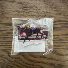 2024 JRA賞 ノーザンホースパーク モバガチャ スタニングローズ アクスタ