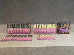 メガサーナイトEX RR 進化ライン