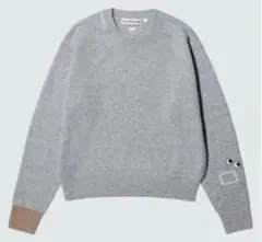 ユニクロ　アニヤハインドマーチ　ニット