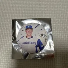 2026年最新】松本剛選手の人気アイテム - メルカリ